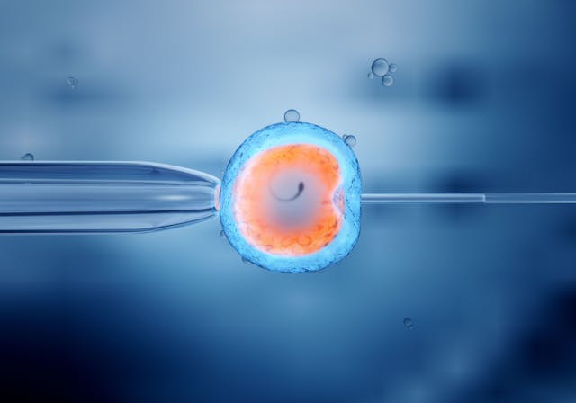SART data indicates rise in IVF use in 2022 | Image Credit: © Christoph Burgstedt - © Christoph Burgstedt - stock.adobe.com.