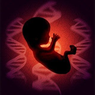 Tips for Navigating Prenatal Genetic Testing